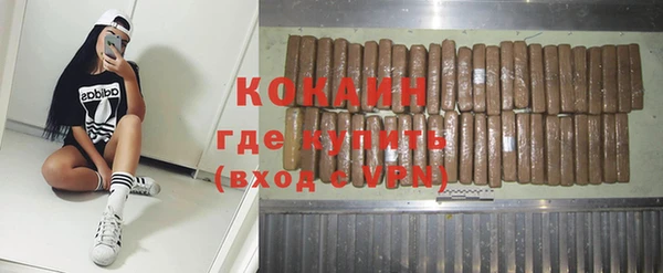 сатива Кинешма