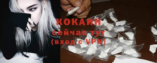 сатива Кинешма
