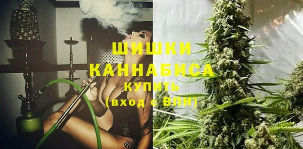 стаф Киренск