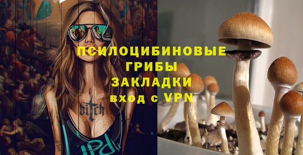 сатива Кинешма