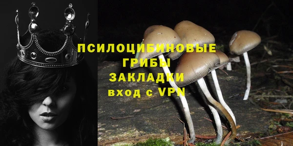 сатива Кинешма