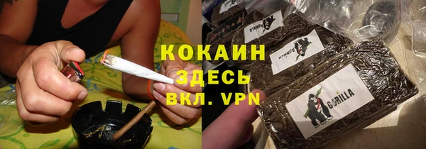 сатива Кинешма