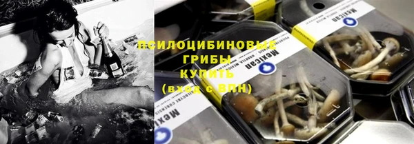 сатива Кинешма