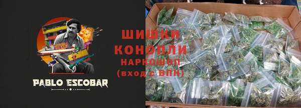 сатива Кинешма