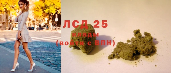 стаф Киренск