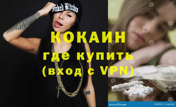 сатива Кинешма